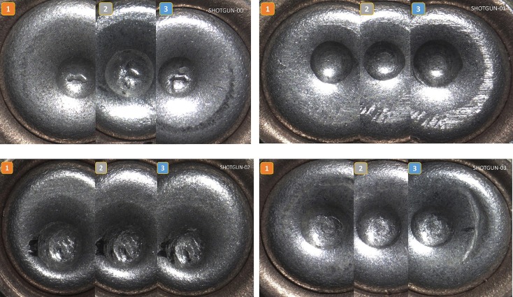 Advancing forensic firearm examination protocol: Shotgun firing pin&nbsp;impressions